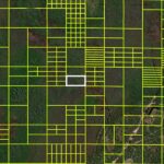 Holopaw groves rd lot for sale in st. Cloud
