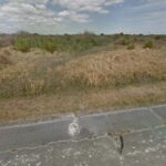 1579 Cedar St, Palm Bay front of lot