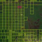 Holopaw groves rd lot for sale